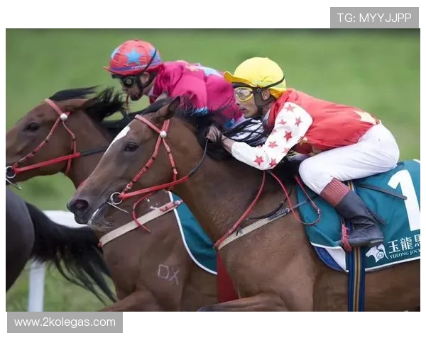 职业体育俱乐部商业冠名权的价值评估